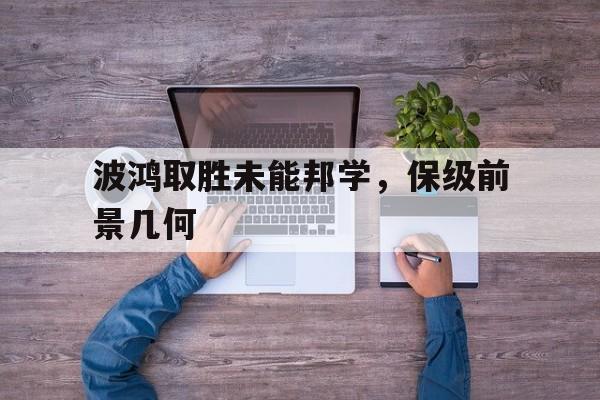波鸿取胜未能邦学，保级前景几何的简单介绍  第1张